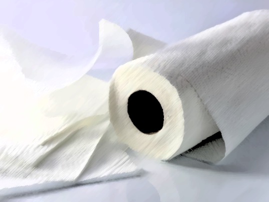 The Paper Towel Problem