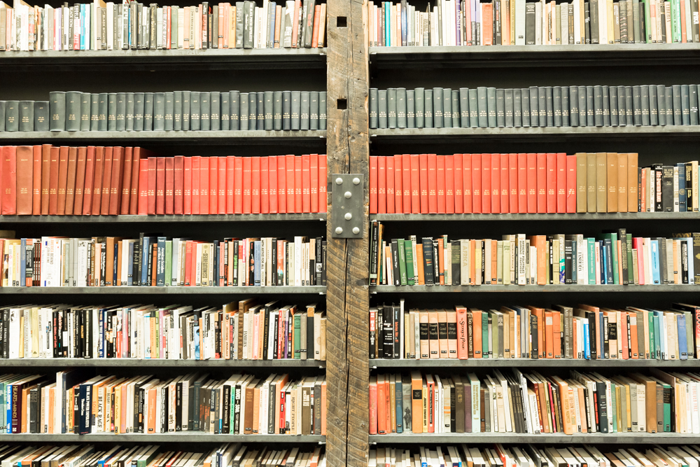 Reading and the Life of the Mind
